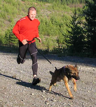 canicross1.JPG (25545 bytes)