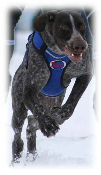 wpe9.jpg (18151 bytes)