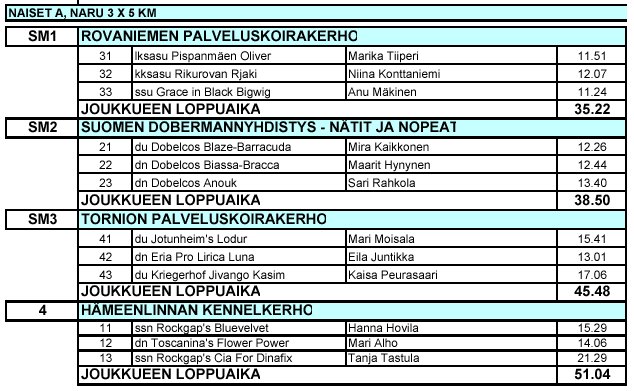 spkl_sm_viesti04n.jpg (77565 bytes)
