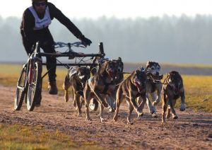 Jämi SM World Cup Race DR6 - Urho Ahomaa. Kuvaaja: Sydäntalvella