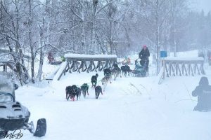 Ukkohalla-Paljakka ajot 2019 MD12-luokan voittaja Erika Zopf. Kuvaaja Marja-Liisa Kiuru